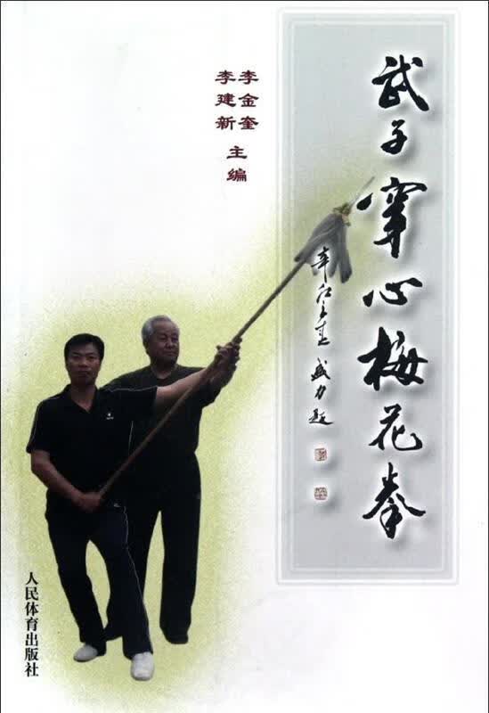 武子穿心梅花拳
