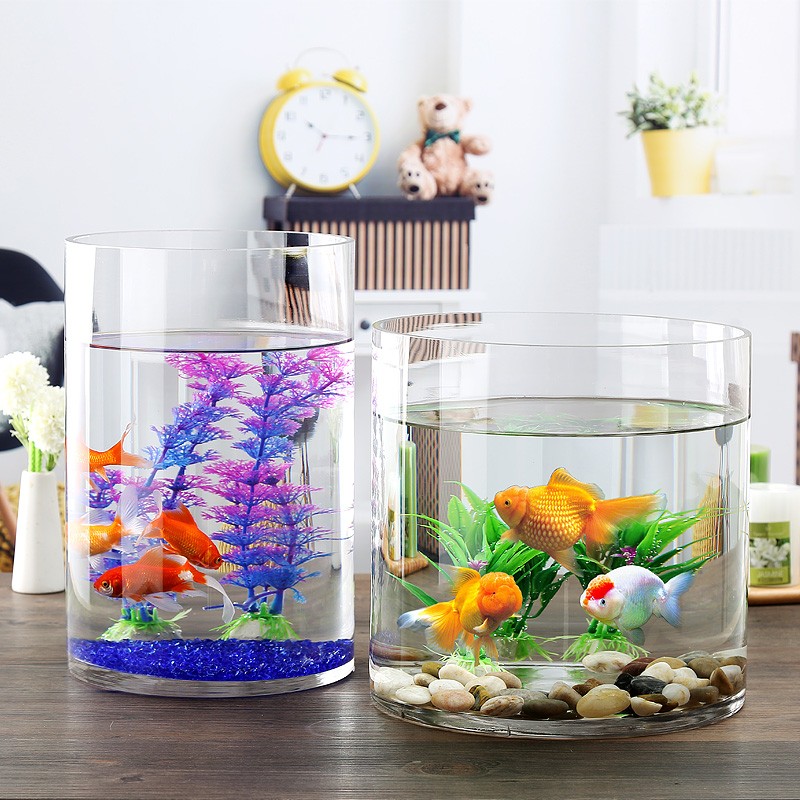 分享下云共度000005鱼缸水族箱究竟如何呢？用过的人多吗