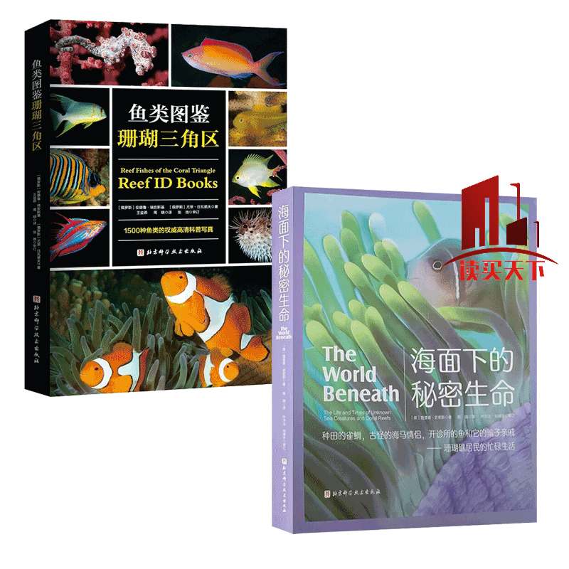 生活在珊瑚三角区的珊瑚礁鱼类 高清图片种类介绍 l