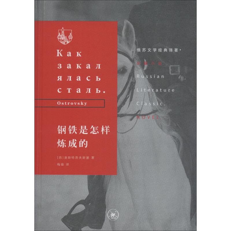 钢铁是怎样炼成的【正版图书】