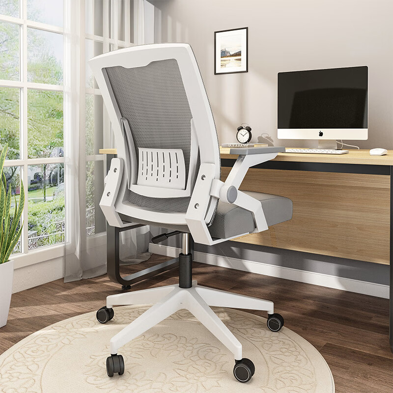 椅子办公家用学生转椅可升降移动扶手可调可躺椅 【乳胶款】白框灰网