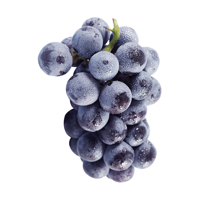 zoco巨峰葡萄新鲜采摘飓风葡萄辽峰酸甜口孕妇水果当季 飓风乒乓球 3