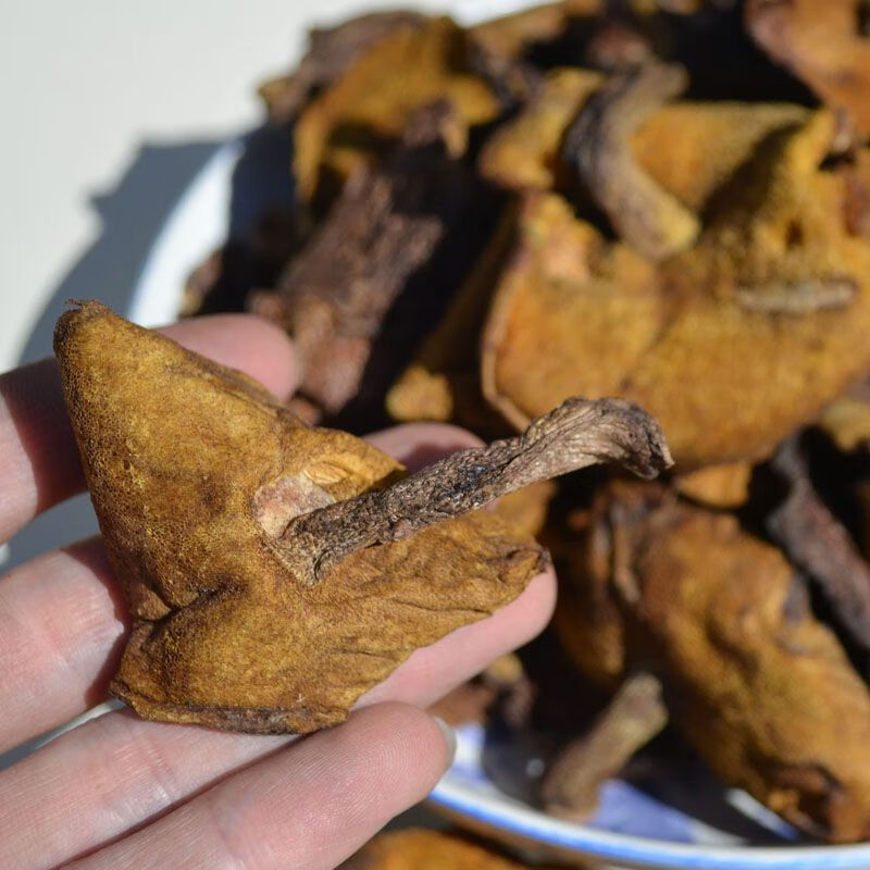 禾澹新货东北特产野生松蘑菇500g松菇粘蛾子松蛾粘团子烘干 500g