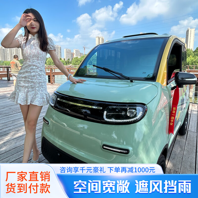 金蒄澎新能源电动四轮车手把式小型代步车家用女士接送油电两用电动