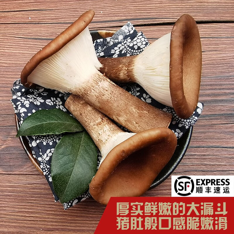 山野云涧云南新鲜猪肚菇 猪肚菌笋菇大杯蕈大斗菇 0.