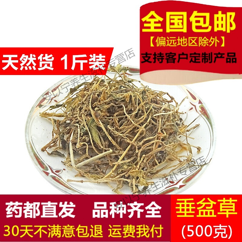 北京同仁堂垂盆草 狗牙草 天然纯新货 中药材 锤盆草 无硫 老鼠芽 500