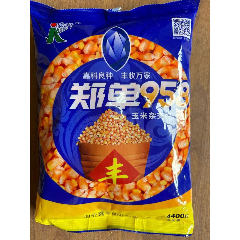 旺园兴郑单958玉米种子 农田菜园中熟三系杂交玉米棒子籽 粮食种子