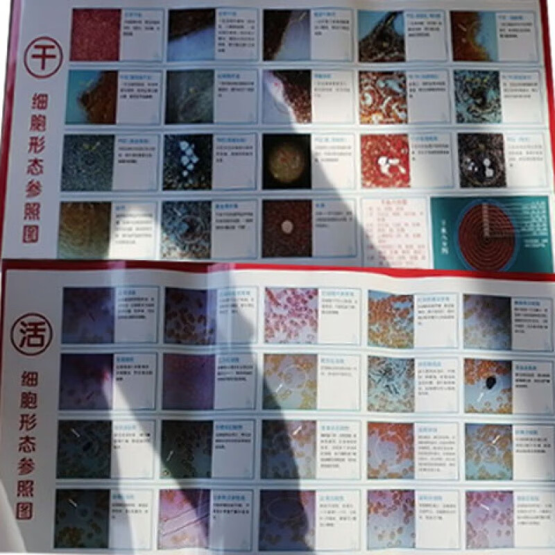 一滴血检测仪挂图说明书血液细胞分析使用指南 挂图(/干血共两张图)