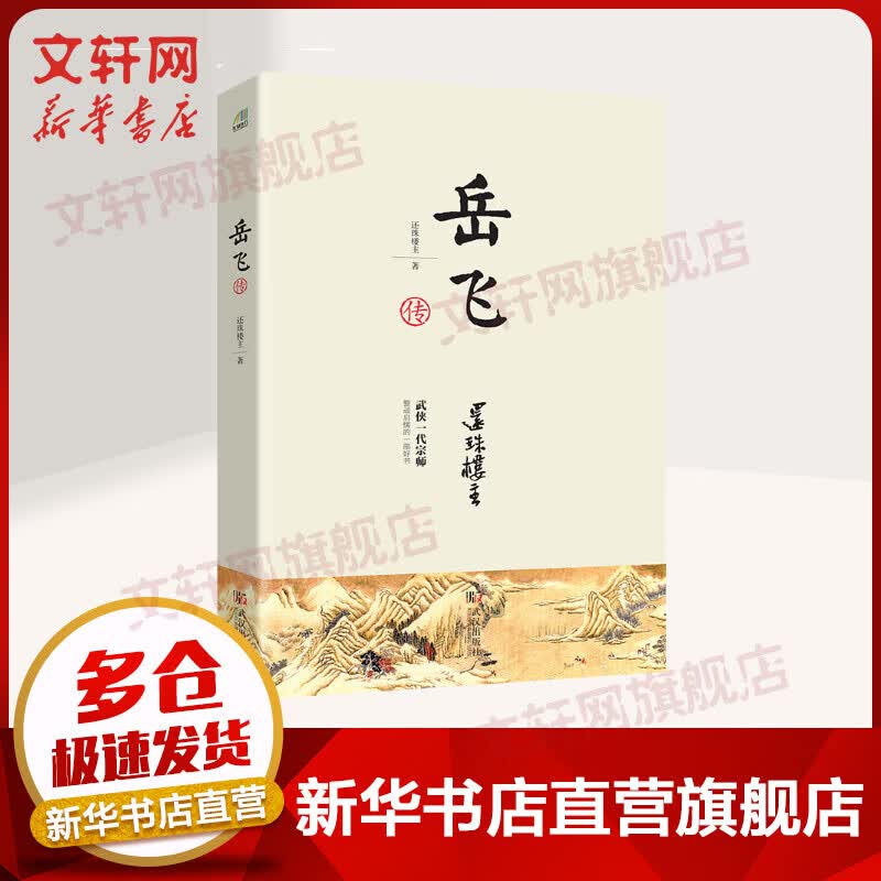 岳飞传