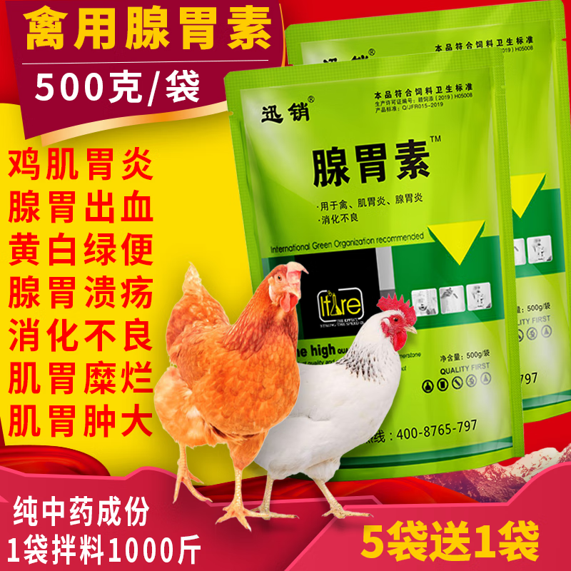 迅销腺胃康鸡药鸡药大全鸡鸭鹅鸽腺胃炎肌胃炎药禽用鸡腺肌胃炎素肿大
