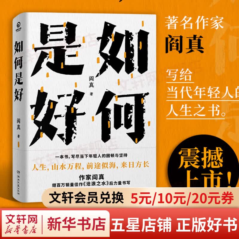 【包邮】如何是好 阎真作品集 女性版《沧浪之水》 当代年轻人的人生之书