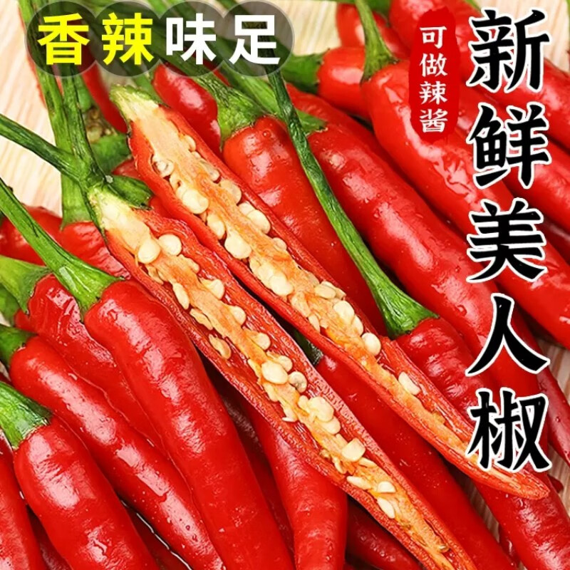 囧仙子新鲜美人椒红辣椒微辣尖椒做剁椒泡椒农家现摘海花红泡椒 3斤装