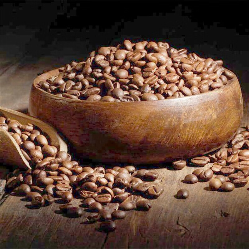 花之然 咖啡豆种子观果种子盆栽庭院绿植种子 红色 100g