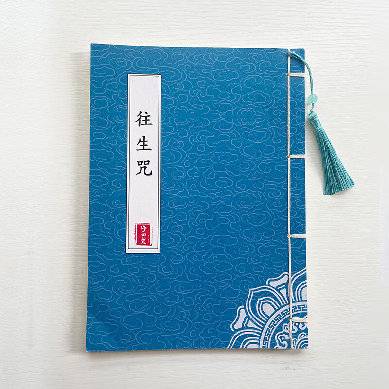 【脱离苦海篇】手抄本抄写本临摹字帖成人硬笔描红本练字帖全注音 往.