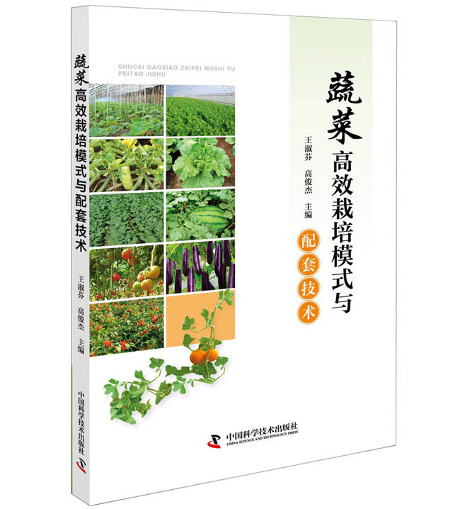 蔬菜高效栽培模式与配套技术 高俊杰