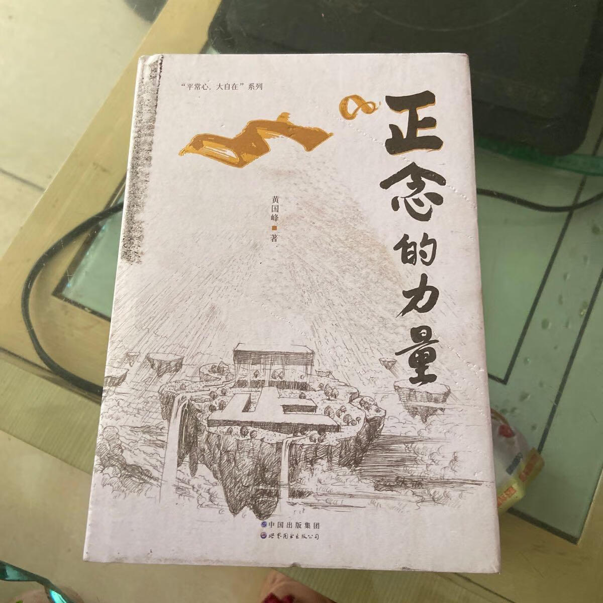 [二手9成新] 《正念的力量》保持正念,保持觉知的状态,才能保持