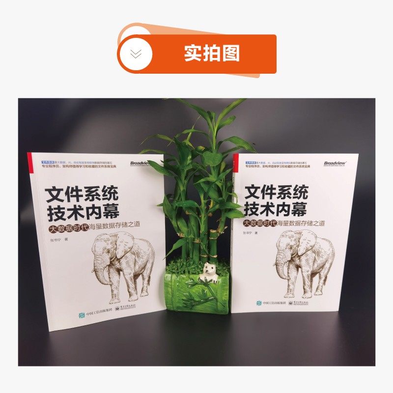 文件系统技术内幕：大数据时代海量数据存储之道(博文视点出品)详情图