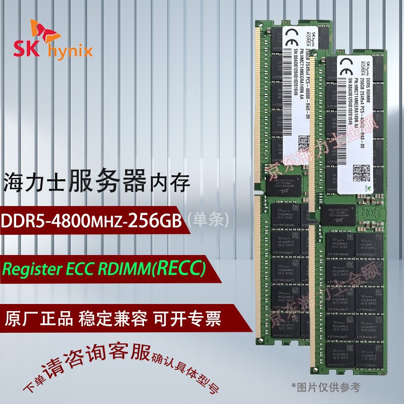 金颐海力士 DDR5 ECC RDIMM工作站服务器内存条 适用华为 联想 戴尔 惠普 浪潮 深信服 256G DDR5 4800 RECC 海力士（SK hynix）
