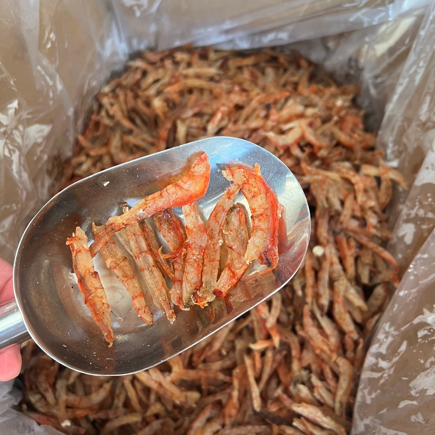 百里小店 渔家小船日晒虾干 营养更全面 煮面煮咸粥炒菜 虾仁500g