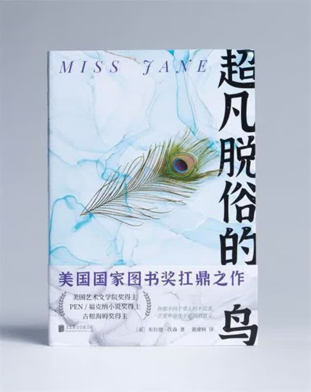 超凡脱俗的鸟 美国国家图书奖扛鼎之作 福克纳小说奖古根海姆奖获奖