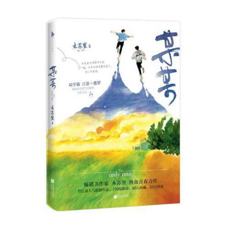 某某小说实体书书作家木苏里热血青春力作双男主言情小说 款式