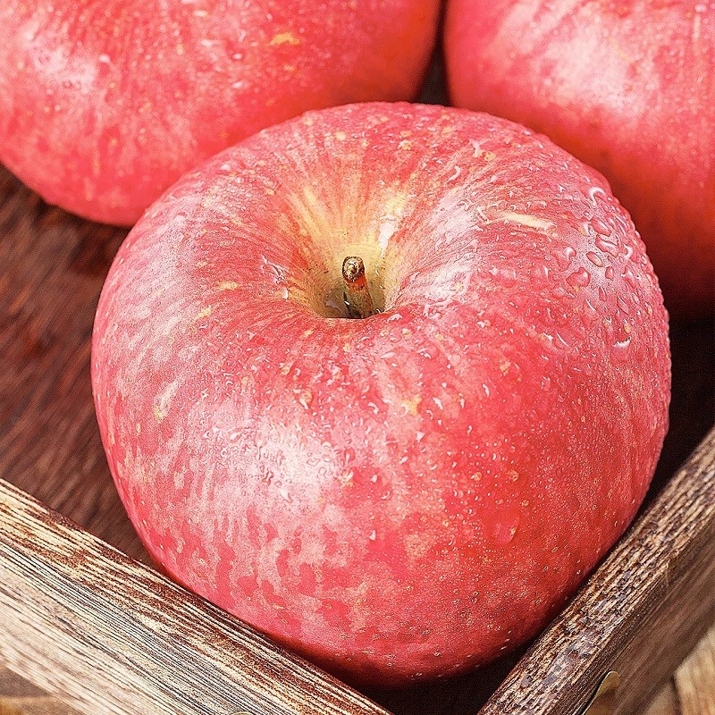 正鲜季（ZHENGXIANJI）烟台苹果红富士苹果新鲜水果山东特产当季脆甜冰糖心平果整箱礼品 【特大果】3斤单果85-90mm