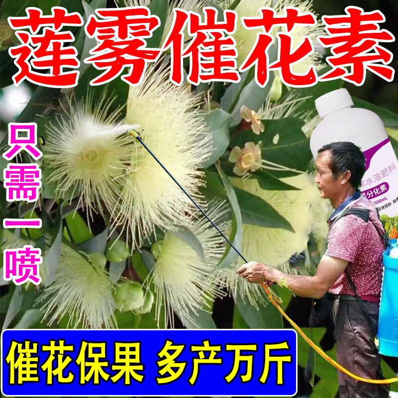 嵩晴莲雾催花素】海南碧花开催花莲雾花芽分化催花保花保果增产水溶肥