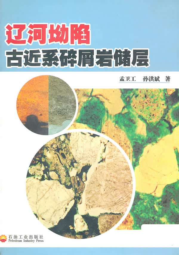 辽河坳陷古近系碎屑岩储层【正版图书】