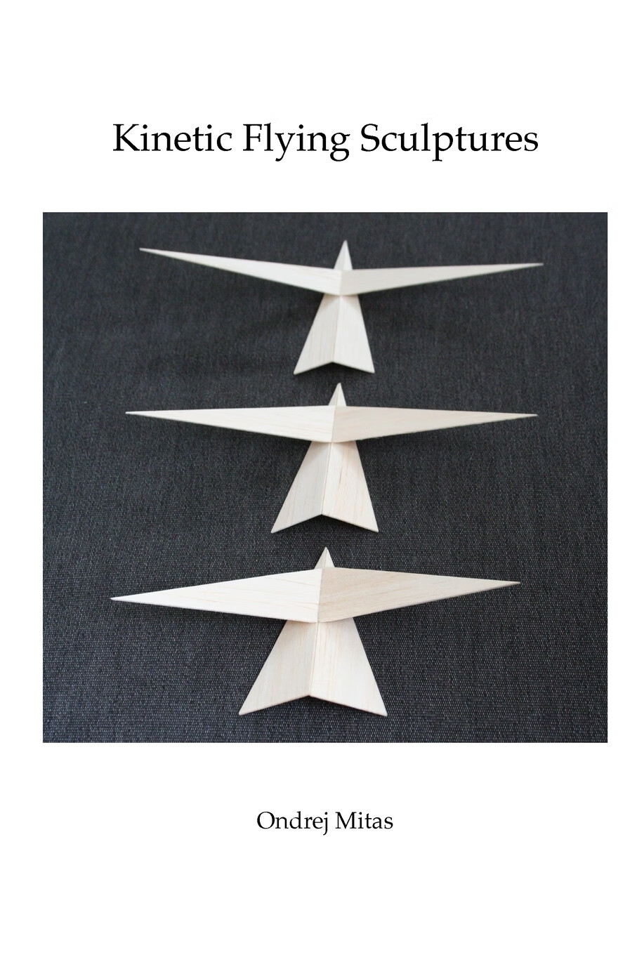 预售 按需印刷 kinetic flying sculptures