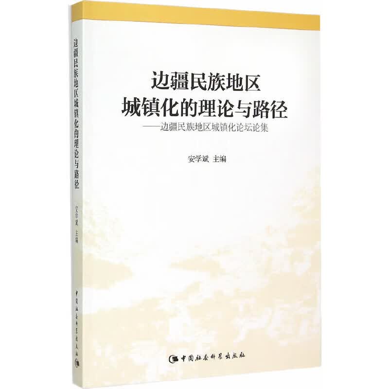 边疆民族地区城镇化的理论与路径