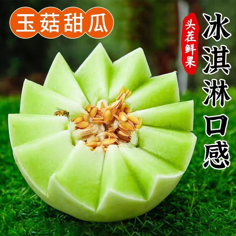泽华果品 玉菇甜瓜4.5-5斤