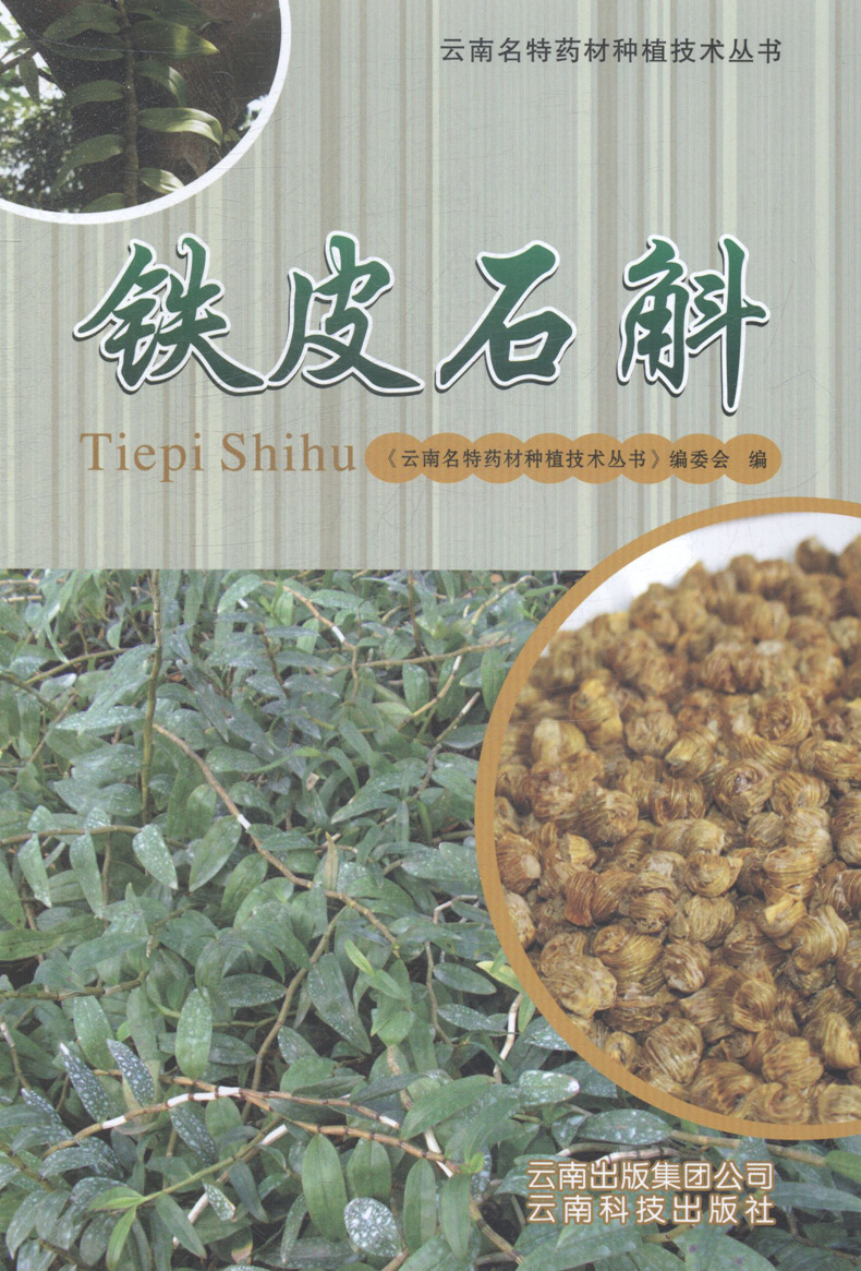 【正版】铁皮石斛 《云南名特药材种植技术丛书》编委会 云南科学技术