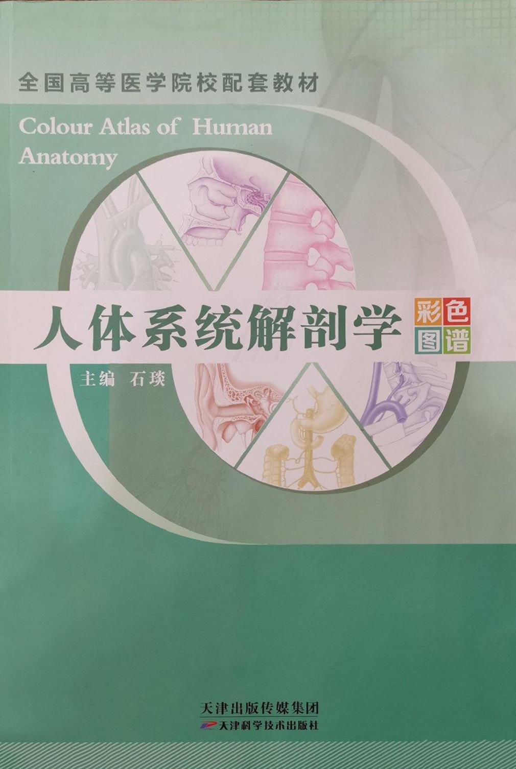 人体系统解剖学彩色图谱 石琰主编 天津科学技术出版社