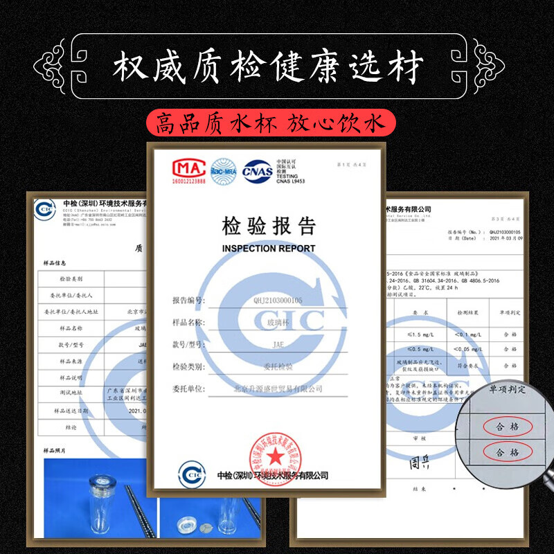 格亚(GEYA)银币杯双层玻璃杯男士高档茶杯商务泡茶杯便携水杯办公室杯子 银龙币杯350ml 礼盒装