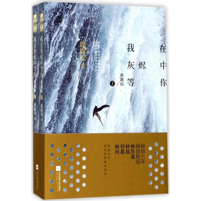 我在灰烬中等你