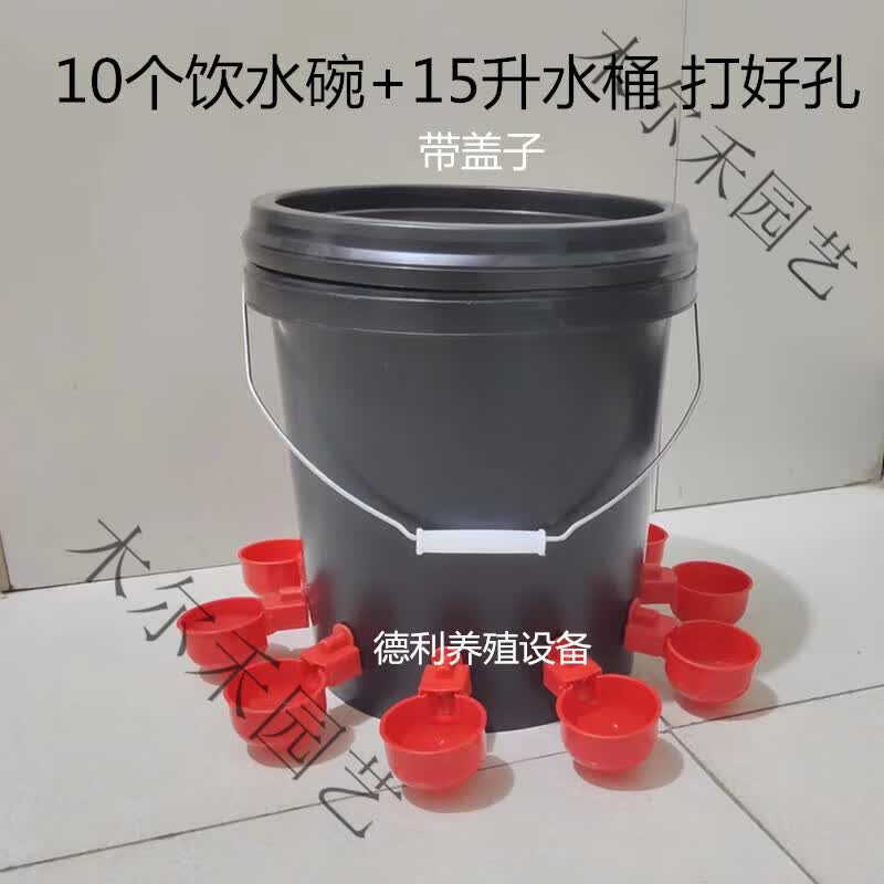 极墨鸡用自动饮水器鸭鹅鸽子鹌鹑桶装喝水碗雏鸡饮水碗全自动 自动饮水碗10个(+15升水桶打好怎么看?