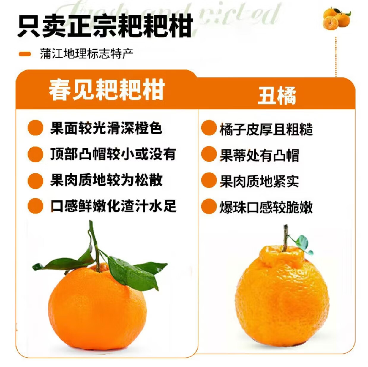 酷果汇四川春见耙耙柑粑粑柑桔橘子年货送礼盒当季彩箱新鲜水果直发 净重4.5斤-单果70MM+