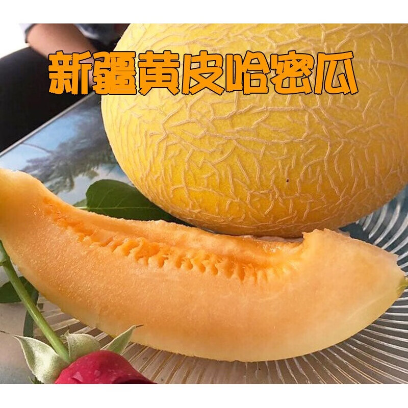 梦动水果 哈密瓜 新疆新鲜应季整箱当季孕妇水果礼盒 2个装 单果3斤