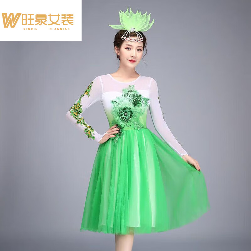 妍春夏开场伴舞超仙演出服女现代舞蓬蓬纱裙气质跳舞蹈服装的 浅绿色