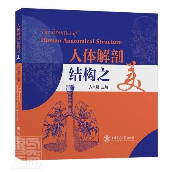 人体解剖结构之美医学人体解剖学医学美学本科及以上图书