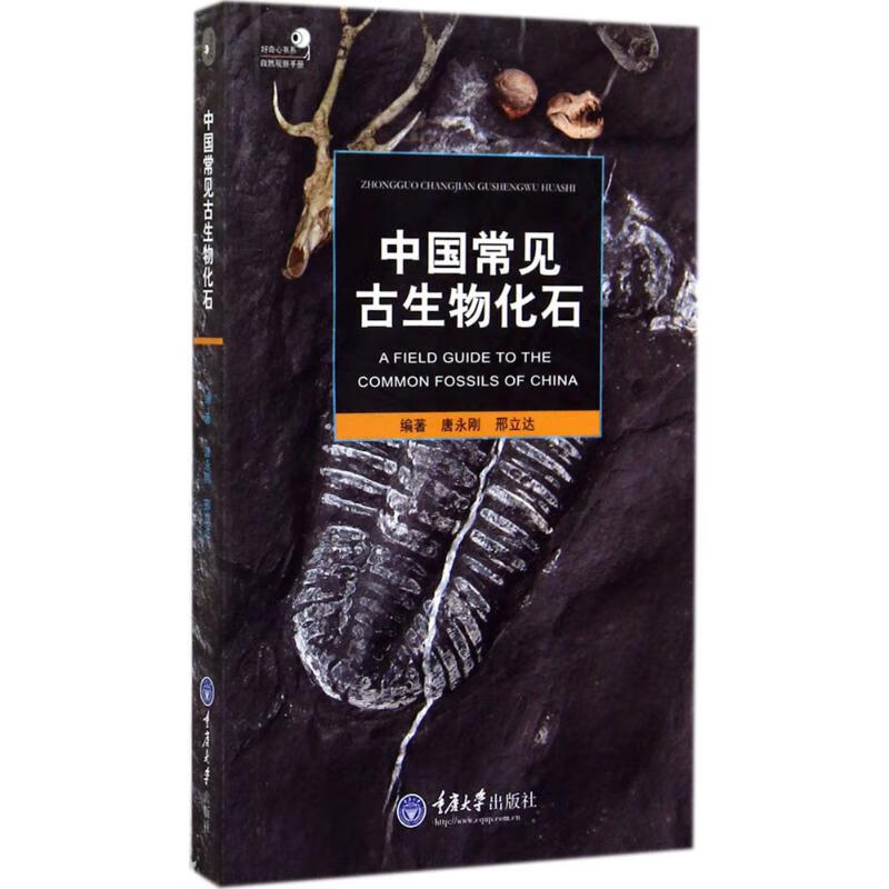 中国常见古生物化石