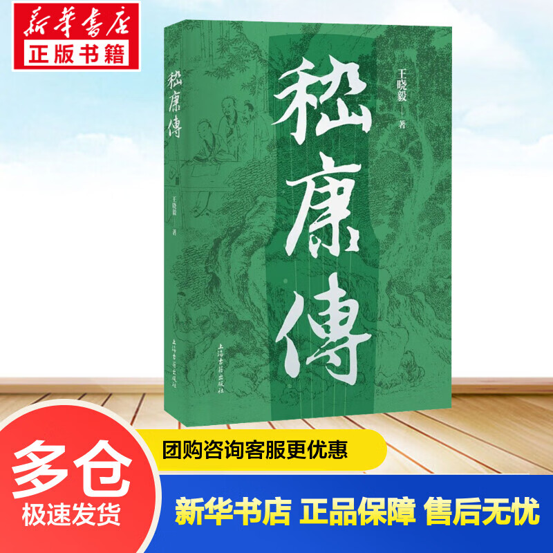 嵇康传 王晓毅 书籍 图书