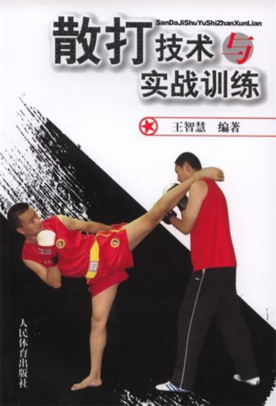 散打技术与实战训练 王智慧 著 人民体育出版社