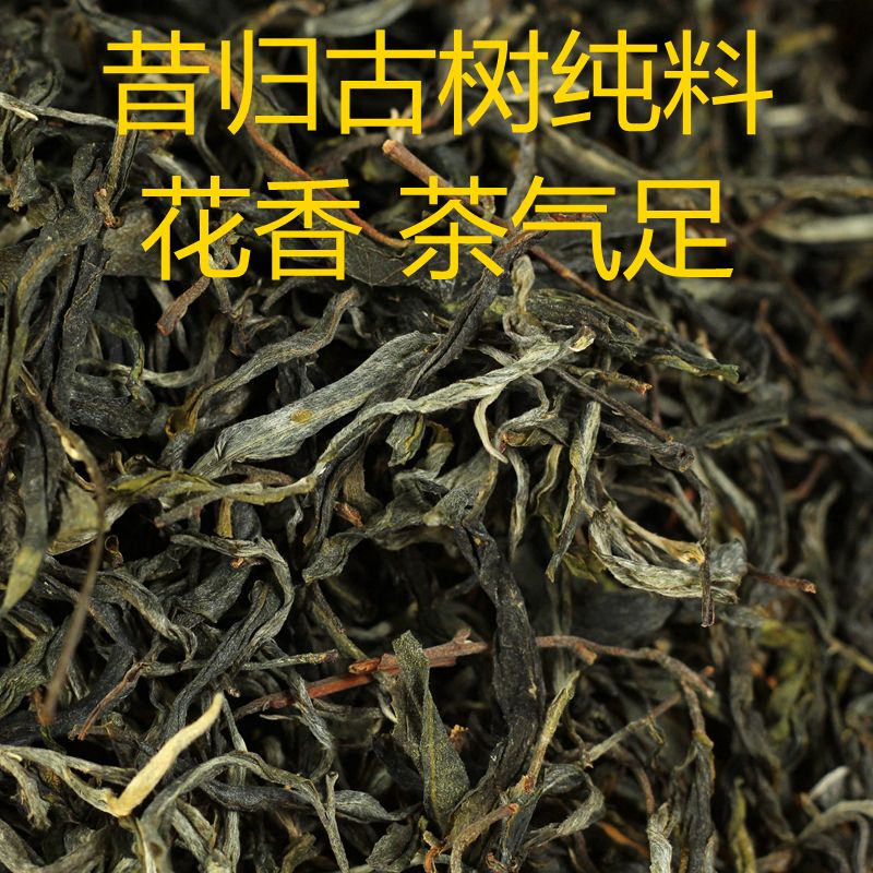 絮荟云南普耳茶生茶 年昔归古树纯料春茶散茶 500g
