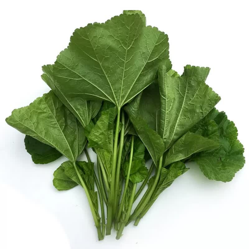 zxc四川冬寒菜东汉菜新鲜马蹄菜鲜嫩东苋菜冬涵菜糯米菜熬粥煮汤 2500