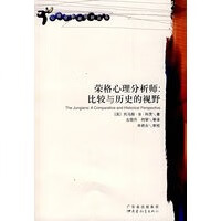 荣格心理分析师：比较与历史的视野【放心选购】