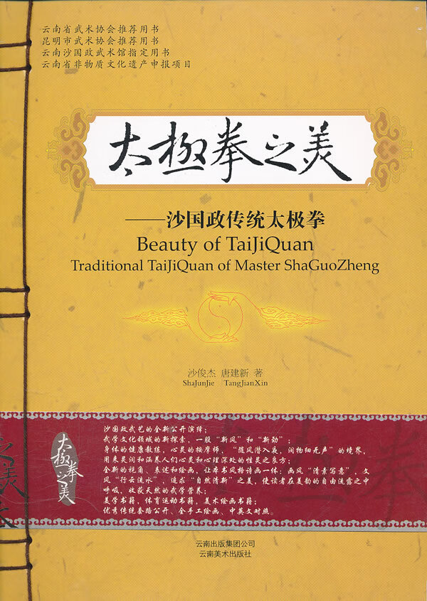 太极拳之美:沙国政传统太极拳【正版图书】
