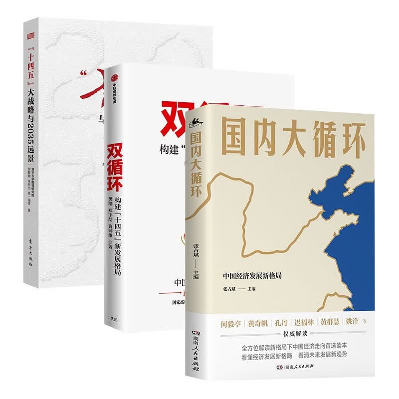 解读十四五规划三部曲: 黄奇帆 国内大循环+双循环 构建十四五新发展格局+大战略与2035远景