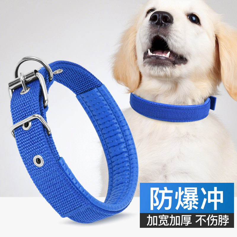 憨憨乐园狗项圈小型犬泰迪金毛宠物狗狗颈圈中小型犬脖圈脖套用品S号