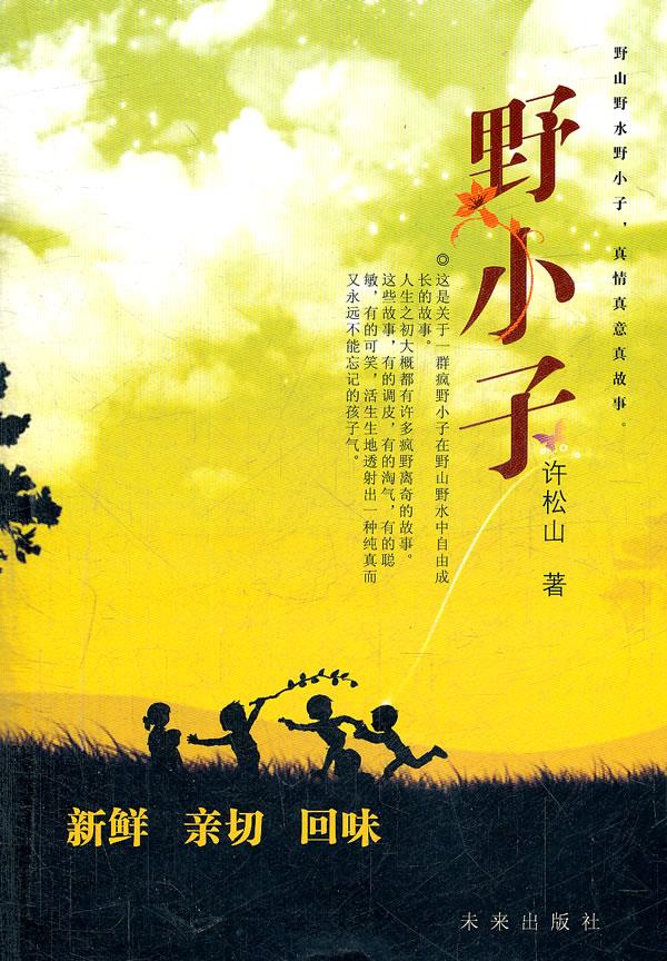 野小子 许松山 著 9787541738142【正版图书】